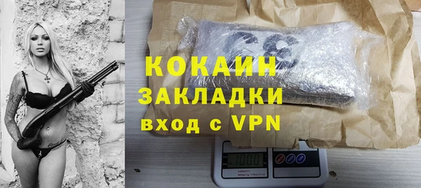 ГАЛЛЮЦИНОГЕННЫЕ ГРИБЫ Инта