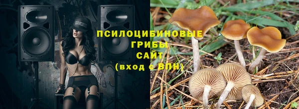 мет Каменка