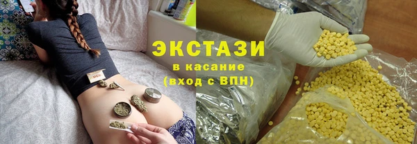 ГАЛЛЮЦИНОГЕННЫЕ ГРИБЫ Инта