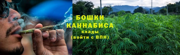 ГАЛЛЮЦИНОГЕННЫЕ ГРИБЫ Инта