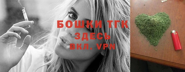 ГАЛЛЮЦИНОГЕННЫЕ ГРИБЫ Инта