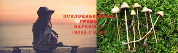 скорость Каменногорск