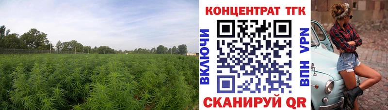 ТГК гашишное масло  Купить закладки  Полярный 